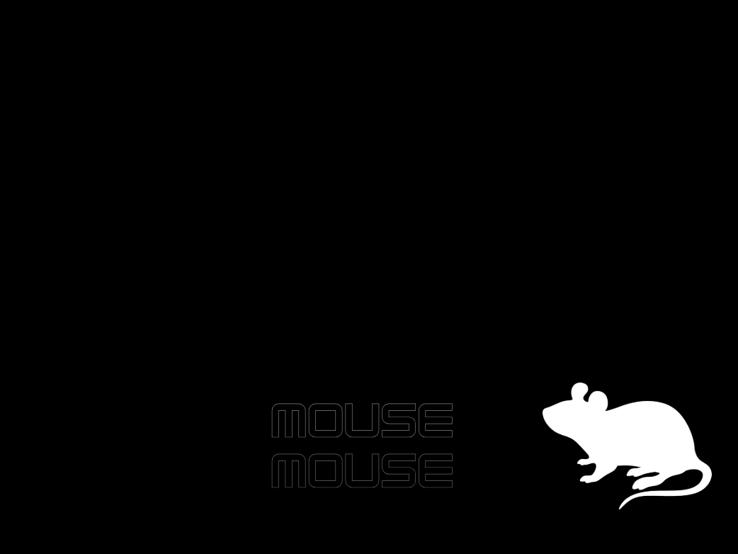 Mouse Mouse Wallpaper