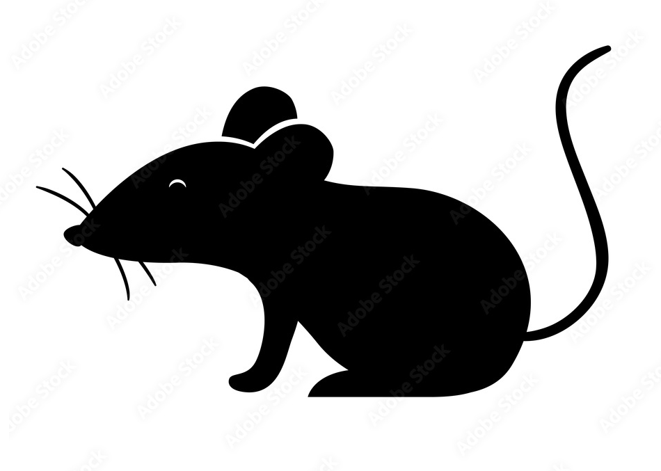 mouse pic